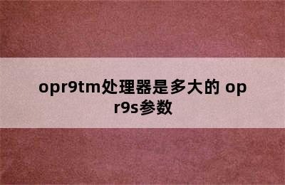 opr9tm处理器是多大的 opr9s参数